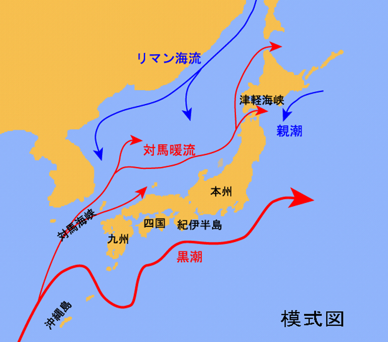 日本　海域　海流